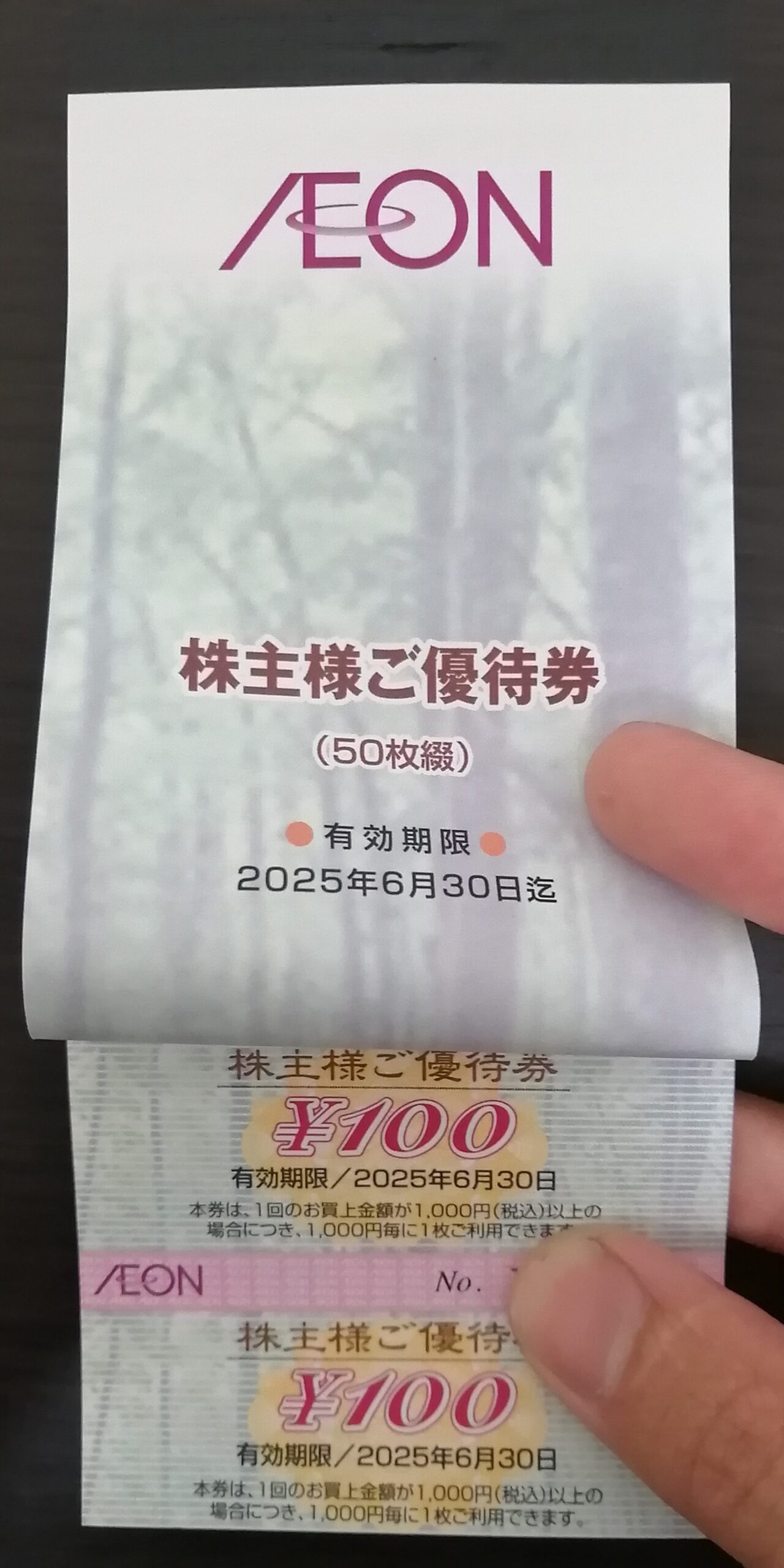 イオン北海道 株主優待 5000円分 イオン北海道 株主優待券 5000円分 2025年6月30日まで イオン